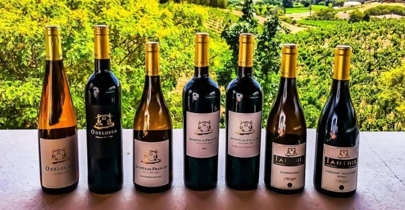 From Lagos: Small-Group 4-Hour Wine Tasting Tour - Authenticity & Local Flavor