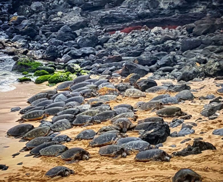 From Lahaina, Maui: Road to Hana Tour - Final Thoughts on the Road to Hana Tour