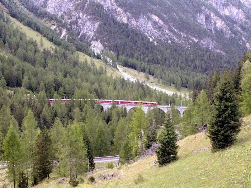 From Lake Como: Bernina Red Train Tour to St. Moritz - Final Thoughts