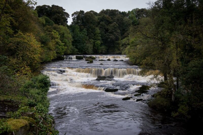 From Lake District: Full-Day Yorkshire Dales Tour - What the Reviews Say