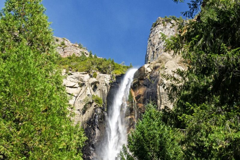 From Lake Tahoe: Yosemite National Park Day Trip with Lunch - What Makes This Tour Stand Out