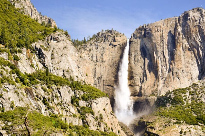 From Lake Tahoe: Yosemite National Park Day Trip with Lunch - FAQs