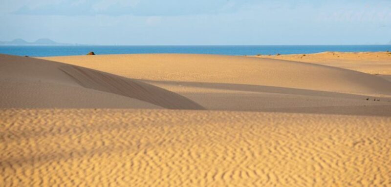 From Lanzarote: Corralejo Buggy Safari - A Detailed Look at the Corralejo Buggy Safari Experience
