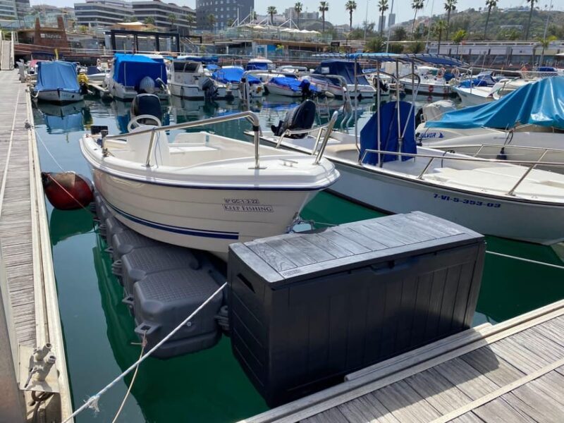 From las Palmas : Day sailing experience along the coast - Key Points
