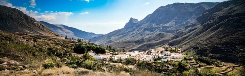 From Las Palmas: Fataga, Aloe Vera Farm, and Puerto de Mogán Market - Practical Details and Tips