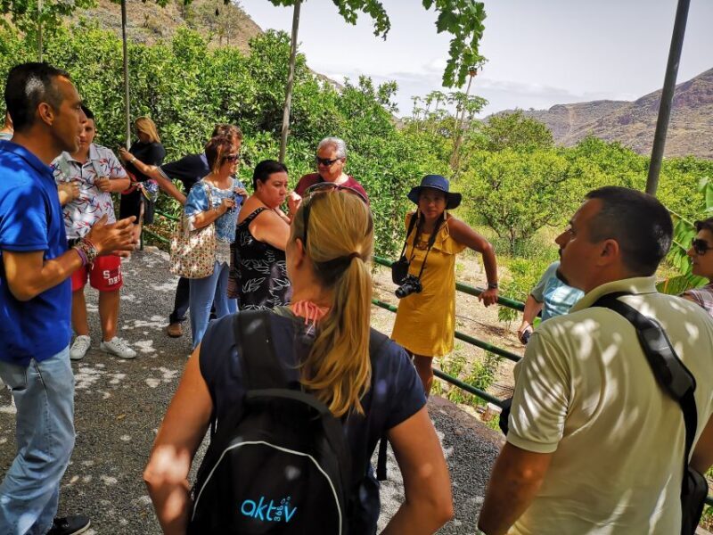 From Las Palmas: Full-Day Tour of the North - FAQs