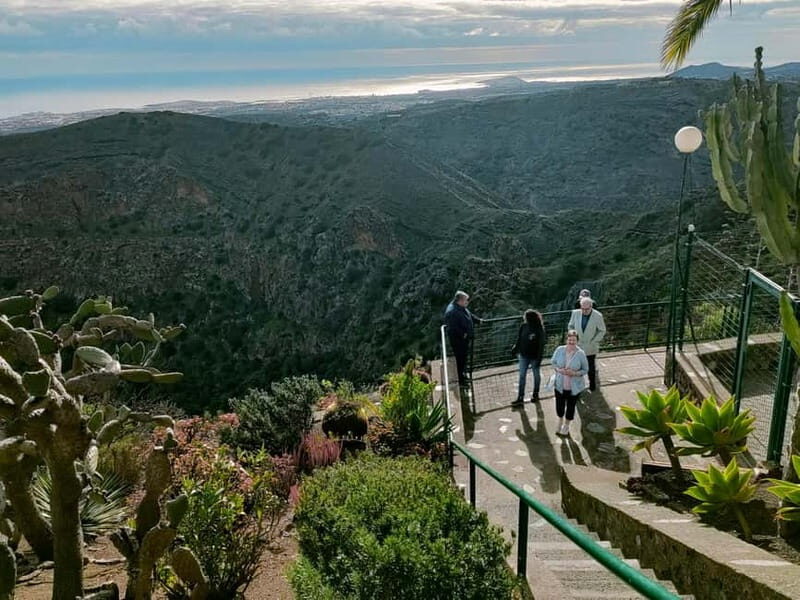 From Las Palmas: Half day tour Volcano Bandama & Vineyard - Discover Gran Canaria’s Natural Beauty and Flavors in Half a Day