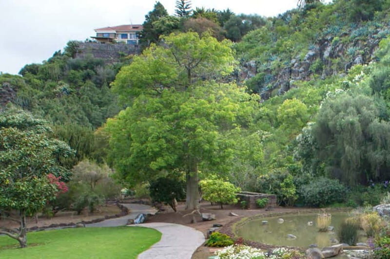 From Las Palmas: Half day tour Volcano Bandama & Vineyard - Who Should Consider This Tour?