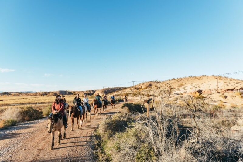 From Las Vegas: Desert Sunset Horseback Ride with BBQ Dinner - Frequently Asked Questions