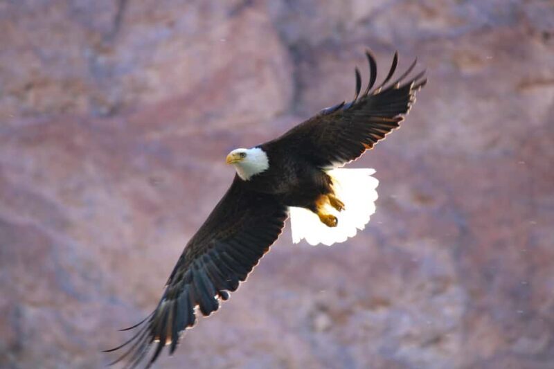 From Las Vegas: Kayak Rental to Emerald Cave Colorado River - FAQ