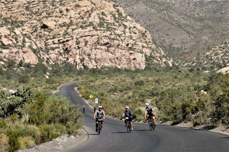 From Las Vegas: Red Rock Canyon Electric Bike Hire - Final Thoughts: Who Will Love This Experience?