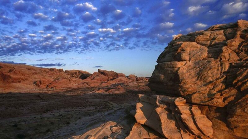 From Las Vegas: Valley of Fire State Park Tour - Guides: Knowledgeable and Engaging