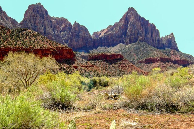 From Las Vegas: VIP Small-Group Zion National Park Adventure - Who Will Love This Tour?
