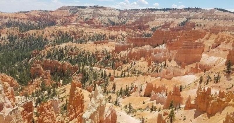 From Las Vegas: Zion and Bryce Canyon Guided Day Tour - A Deep Dive into the Experience