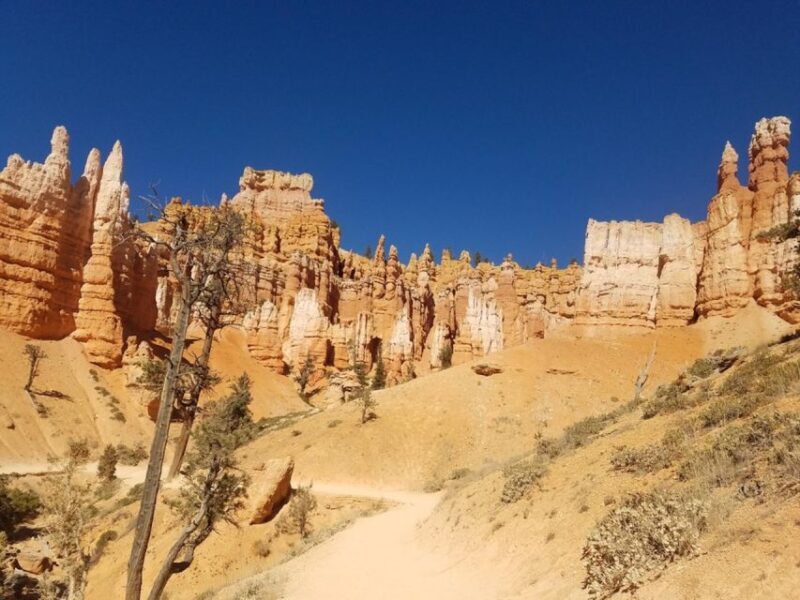 From Las Vegas: Zion and Bryce Canyon Guided Day Tour - Who Should Consider This Tour