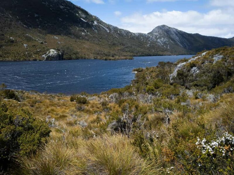 From Launceston: Sheffield Murals & Cradle Mountain Day Tour - From Launceston: Sheffield Murals & Cradle Mountain Day Tour