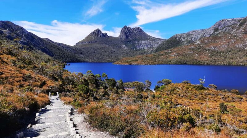From Launceston: Sheffield Murals & Cradle Mountain Day Tour - Key Points