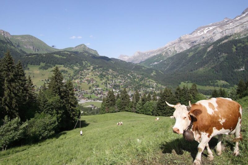 From Lausanne: Glacier 3000 experience and Montreux - The Artistic Charm of Montreux