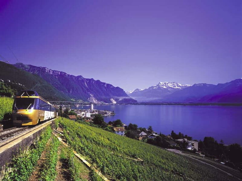 From Lausanne: Gruyères Tour with Train, Chocolate & Cheese - Practical Details and Value