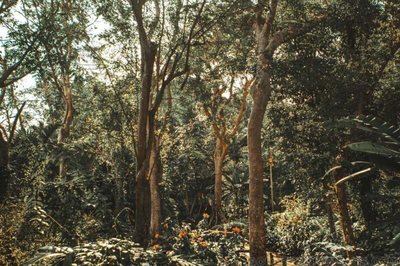 From Lautoka: Garden of Sleeping Giant, Viseisei & Nadi Tour - Key Points