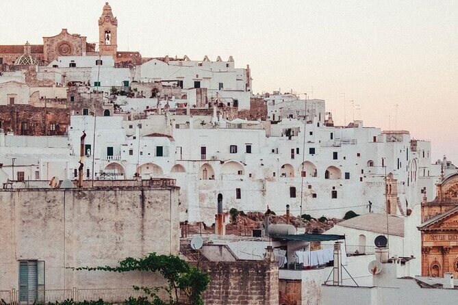 From Lecce: Alberobello, Locorotondo, Ostuni & Apulian brunch - The Food and Tasting Experiences
