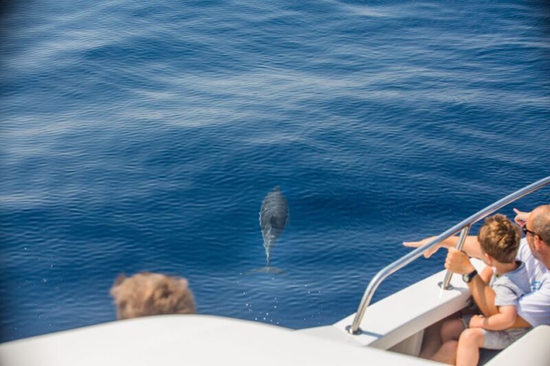 From Lefkimmi: Paxos, Antipaxos & Blue Caves Speedboat Tour - Final Thoughts