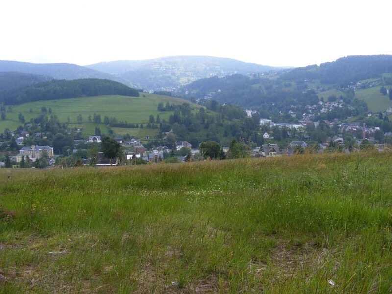 From Leipzig: Vogtland Music Day Trip - From Leipzig: Vogtland Music Day Trip — A Deep Dive into Musical Craftsmanship and Scenic Charm