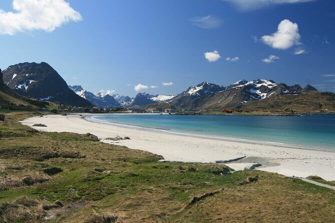 From Leknes port: Special Summer Guided Tour of Lofoten - Who Will Love This Tour?