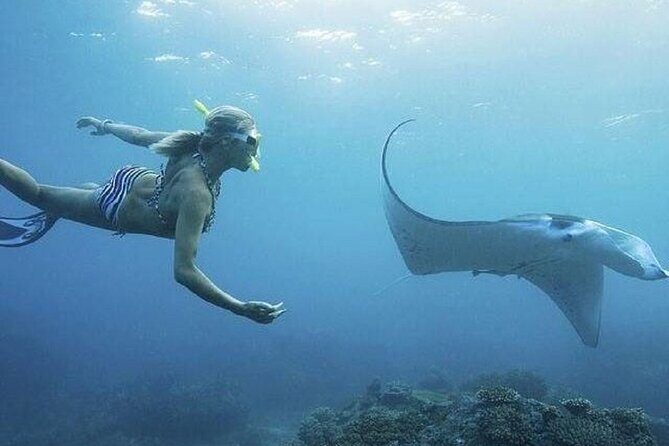 From Lembongan: Snorkeling Day Trip to Nusa Lembongan & nusa Penida island - From Lembongan: Snorkeling Day Trip to Nusa Lembongan & Nusa Penida Island