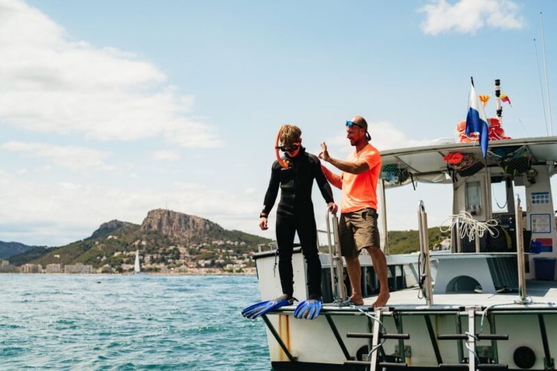 From LEstartit: Snorkeling Trip to the Medes Islands - Frequently Asked Questions (FAQs)