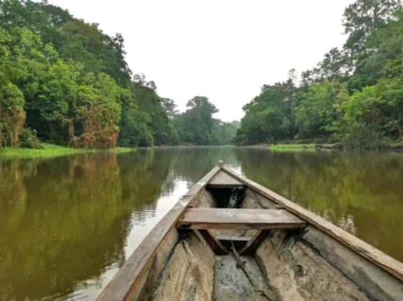 From Leticia: Wild Amazonas Adventure 4-Day Tour - Frequently Asked Questions
