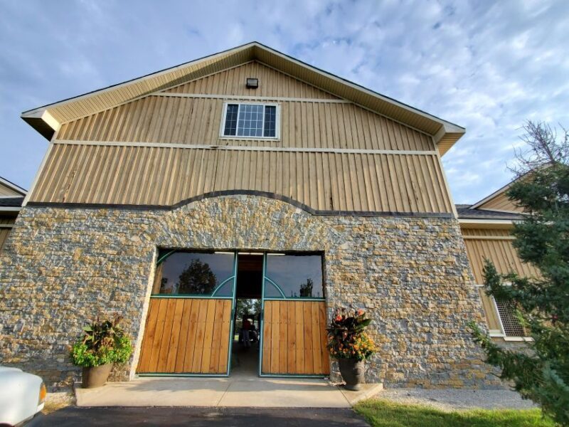 From Lexington: Kentucky Horse Farms Tour - Exploring Kentucky’s Horse Country: A Detailed Look