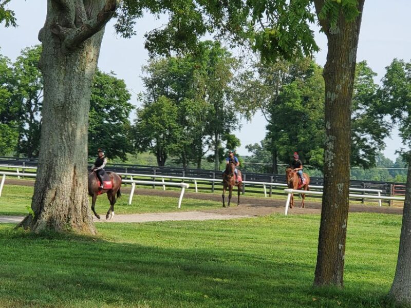 From Lexington: Kentucky Horse Farms Tour - Final Thoughts