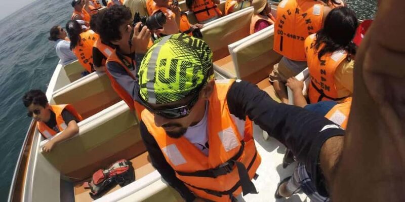 From Lima: 2 Days Paracas Ica Huacachina and vineyards - Day 1: Wildlife and Flavors