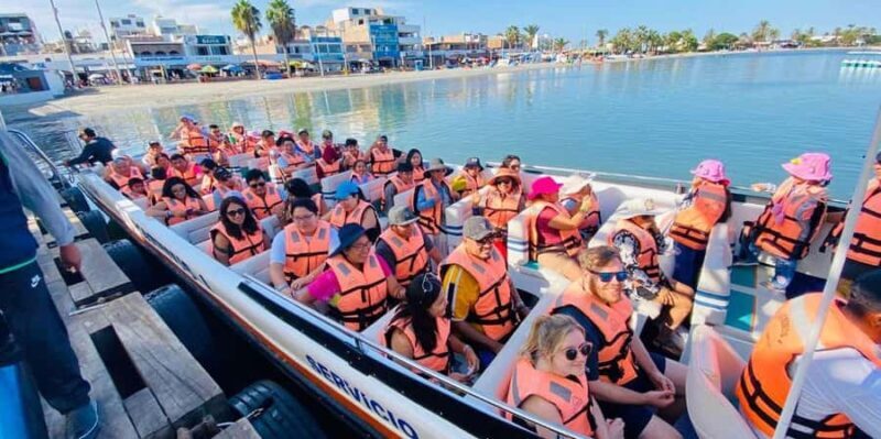 From Lima: 2 Days Paracas Ica Huacachina and vineyards - Who Will Love This Tour?