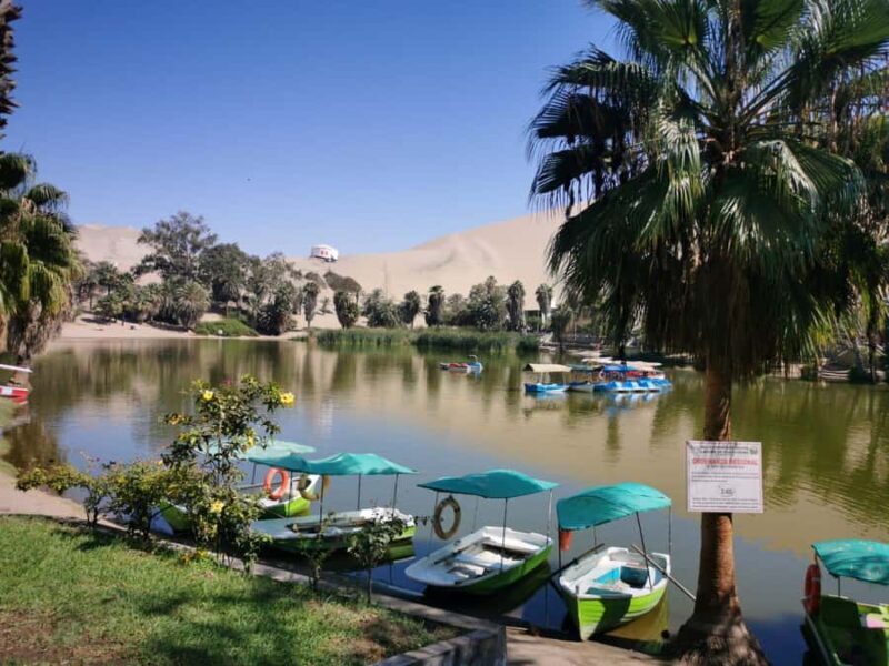 From Lima: 2 Days Paracas Ica Huacachina and vineyards - Final Thoughts: Who Will Enjoy This Tour?