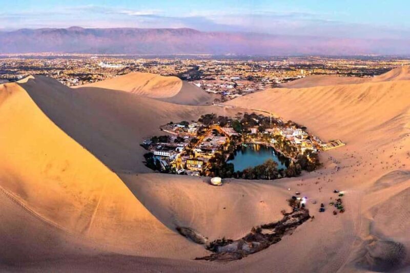 From Lima: Ballestas Islands, Huacachina and Wine Route Trip - Key Points