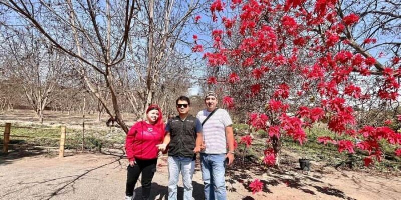 From Lima: Ballestas Islands, Huacachina, and Wine Tour - A Detailed Look at the Day