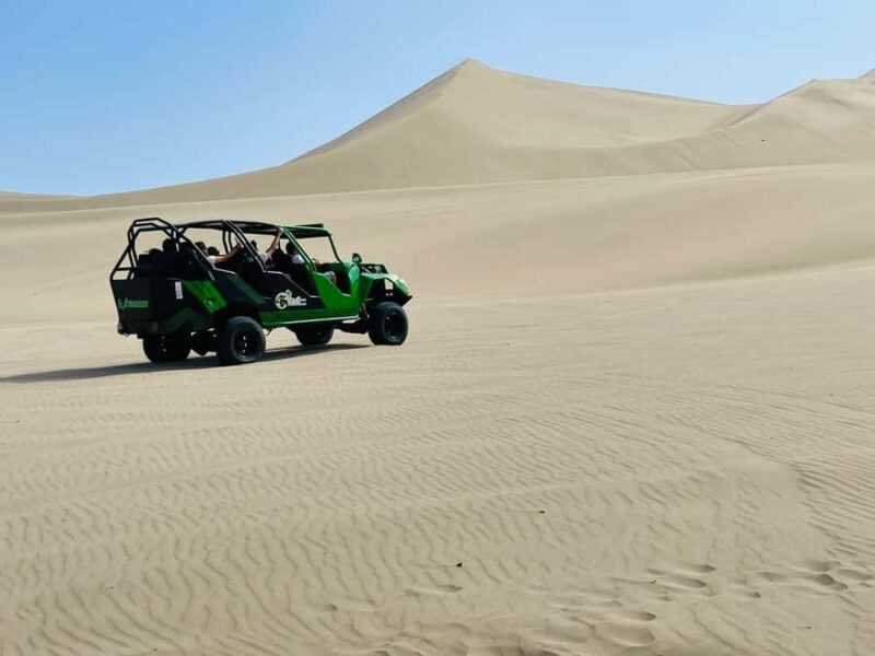 From Lima: Ballestas Islands, Huacachina, and Winery Tour. - In-Depth Review of the Tour Experience