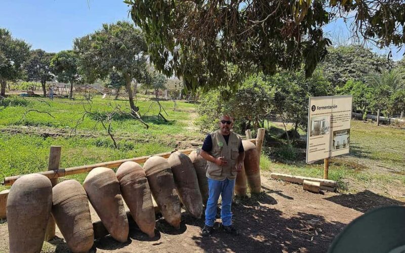 From Lima: city tour in Ica and visit the Huacachina oasis - Final Thoughts