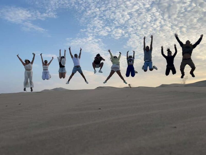 From Lima: Day trip to Paracas, Ica and Oasis Huacachina - Key Points