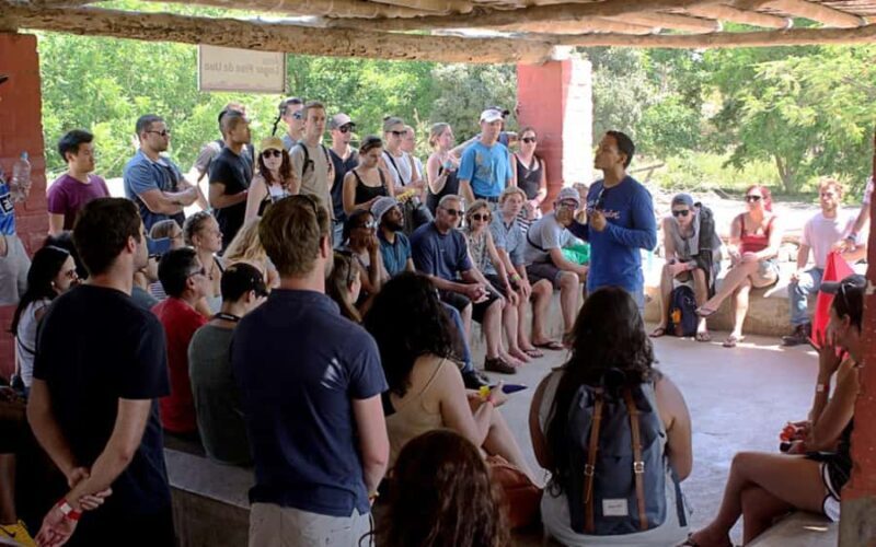 From Lima: Full Day Tour (Paracas + Huacachina) - Who Should Take This Tour?