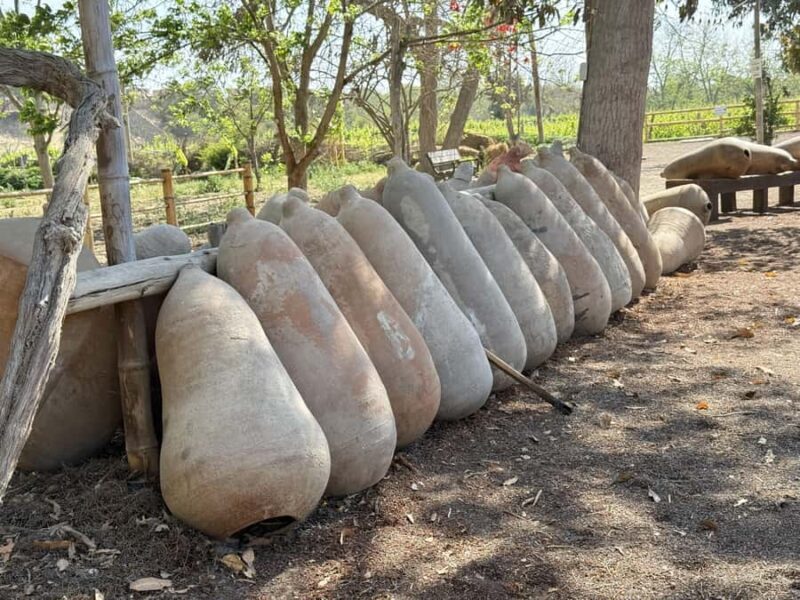 From Lima: Huacachina Oasis Day Trip with Buggy Ride - FAQ