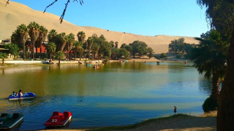 From Lima: Huacachina Oasis Tour, Winery & Desert Sunset - FAQ