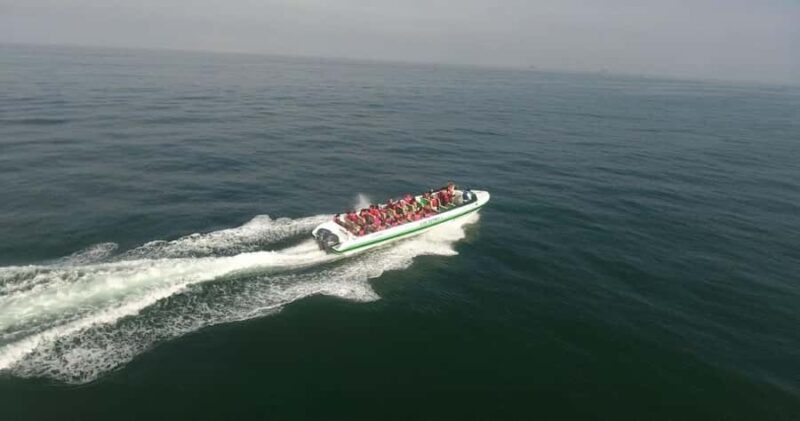 From Lima: Huacachina Sandboarding and Wine Tasting Day Trip - Key Points