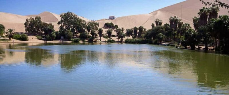 From Lima: Huacachina Sandboarding and Wine Tasting Day Trip - What’s Included and What’s Not