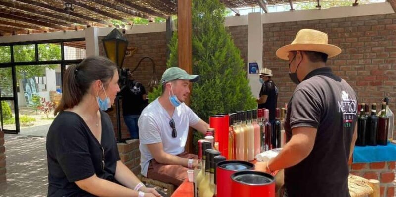 From Lima: Ica and Nazca Huacachina + Wines + Overflight - Exploring the Richness of Ica and Nazca in 2 Days