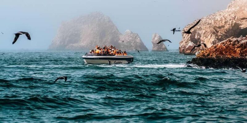 From Lima: Ica - Paracas 3D/2N - From Lima: Ica - Paracas 3D/2N – An Authentic Adventure in Peru