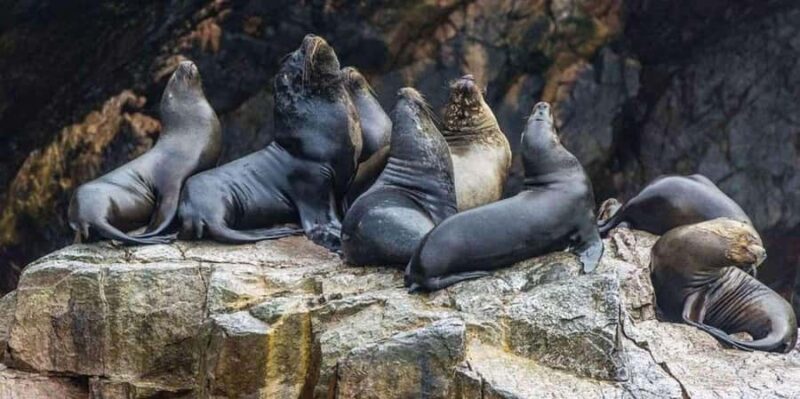 From Lima: Ica - Paracas - Nazca 3D/2N - Who Is This Tour Best For?