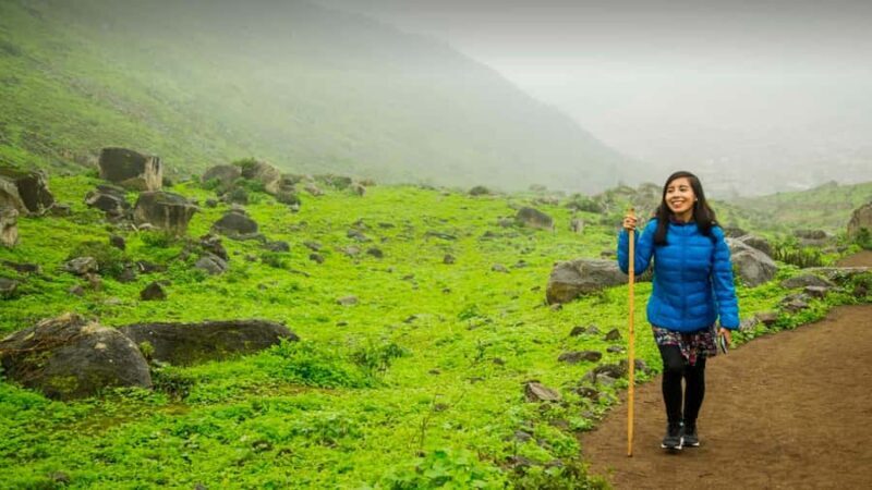 From Lima: Nature Excursion - A Detailed Look at the Experience